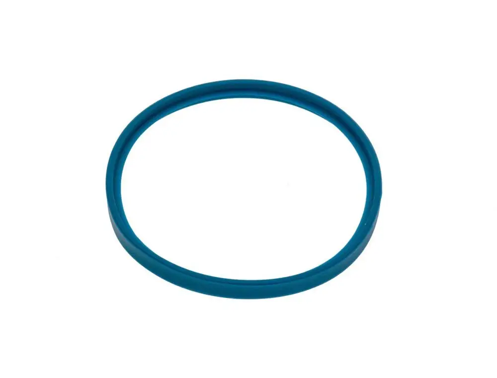 Blaue Lippendichtung von Bosch in Form eines O-Rings, auf einem weißen Hintergrund, ohne weitere Markierungen oder Beschriftungen sichtbar.